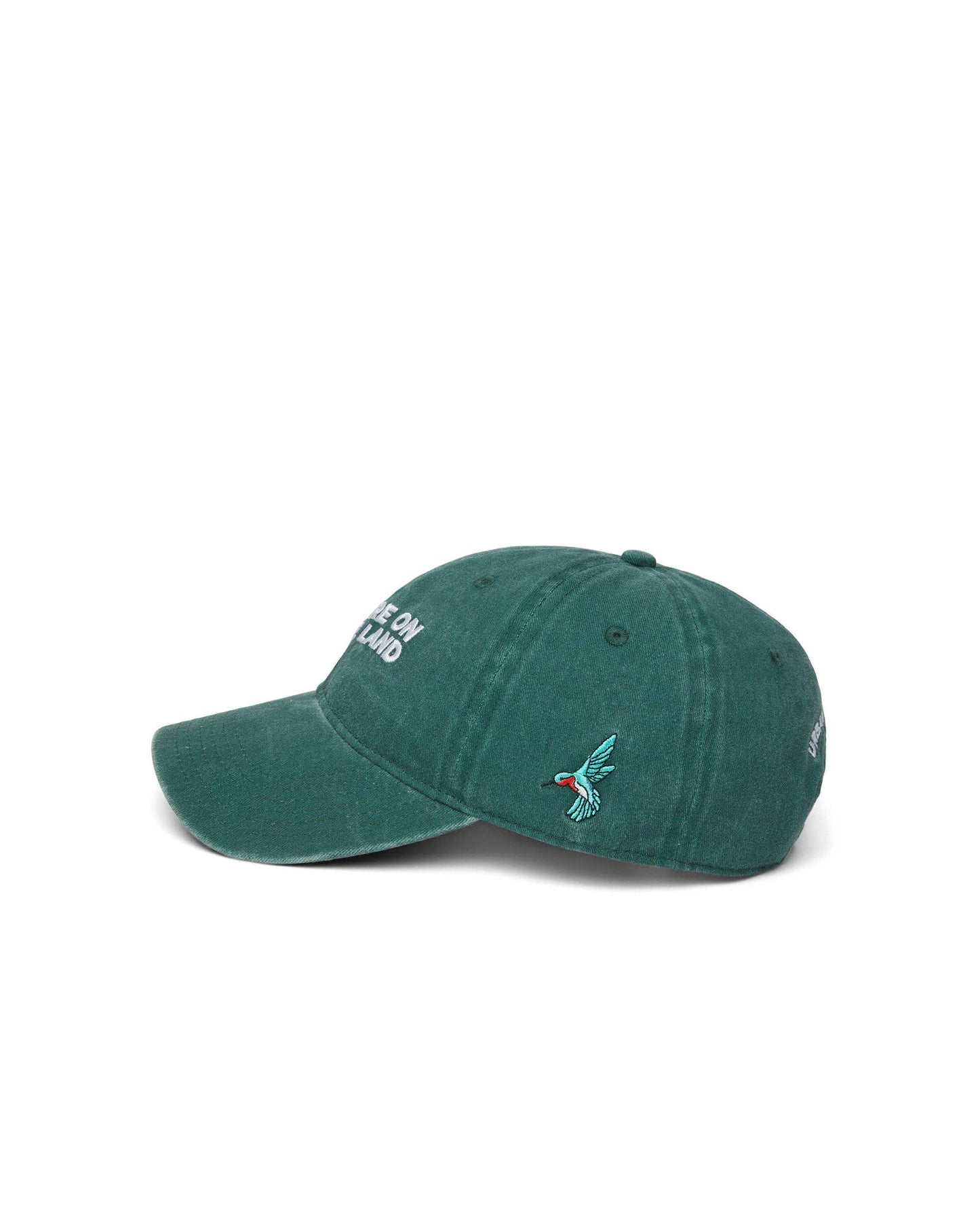 'You Are On Native Land' Dad Cap: Dark Green