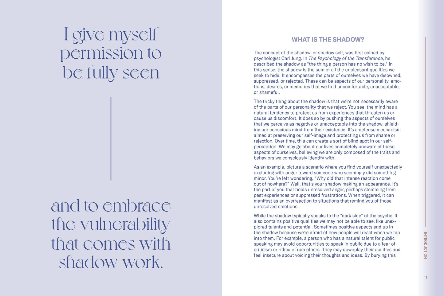 Shadow Work Companion Book