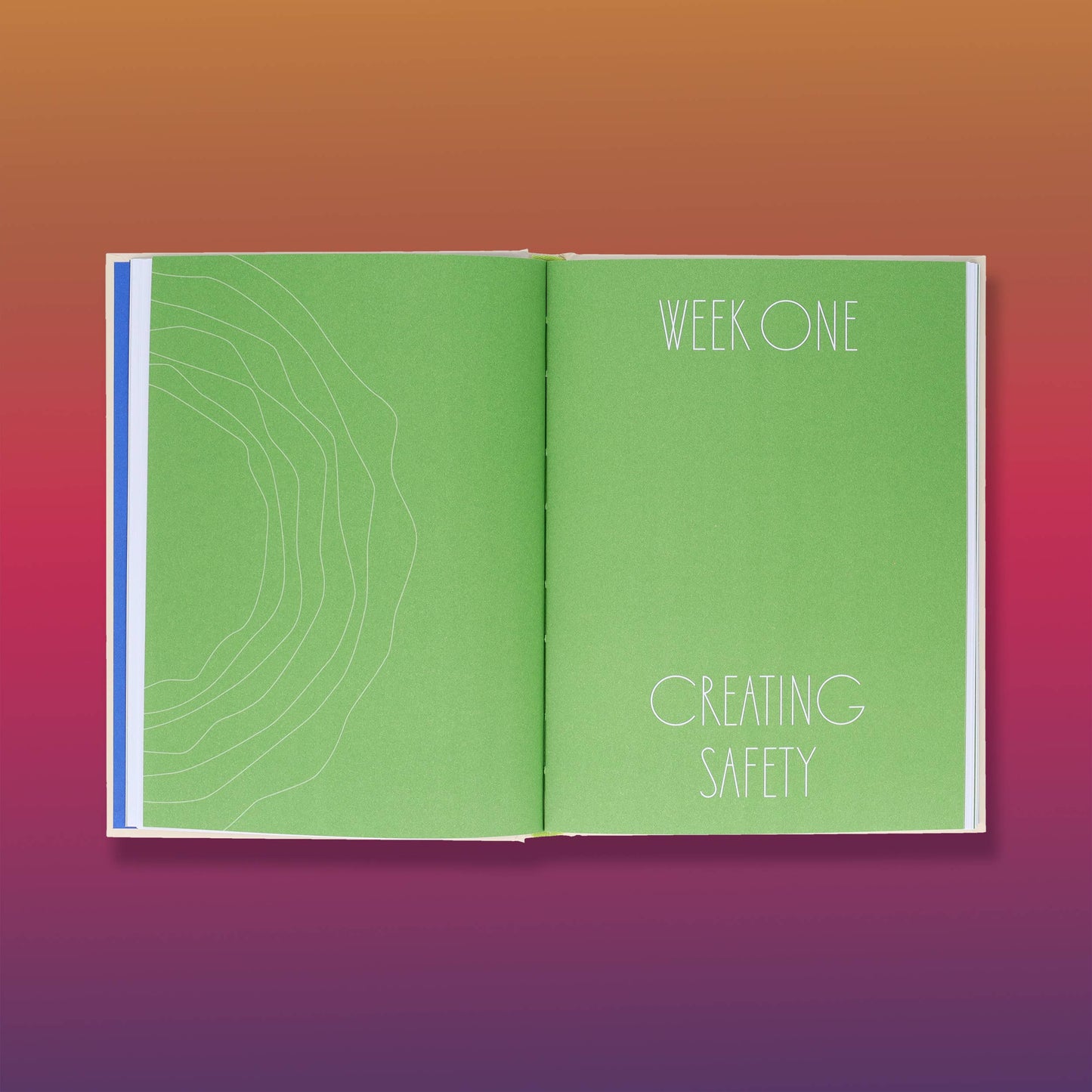 Small Doses of Awareness Guided Journal