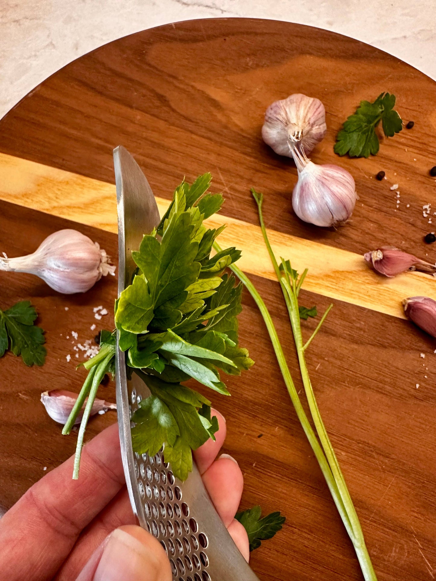 Stainless Steel Garlic Press & Herb Stripper