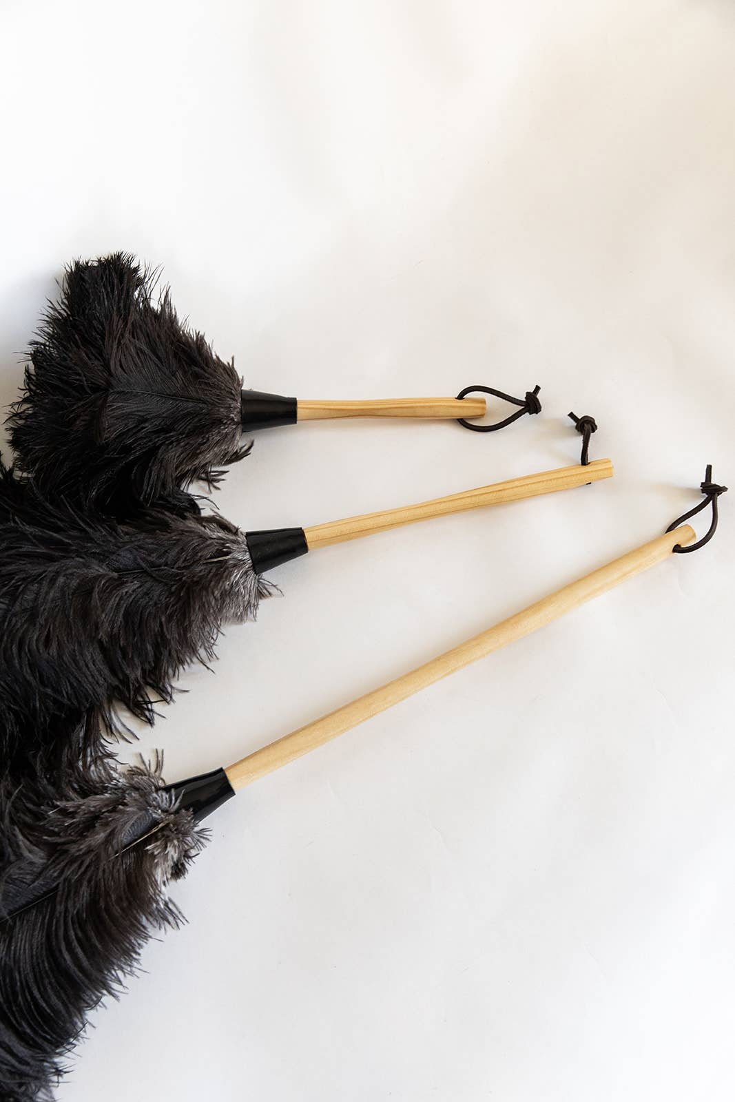 Feather Duster | 20 inch