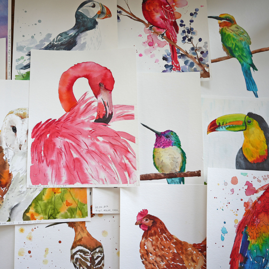 Bird Watercolor Workbook