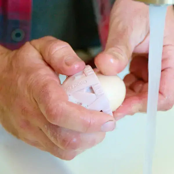 Egg Brush