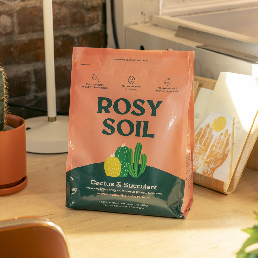 cactus and succulent potting mix Organic Cactus & Succulent Potting Mix – PROCESS