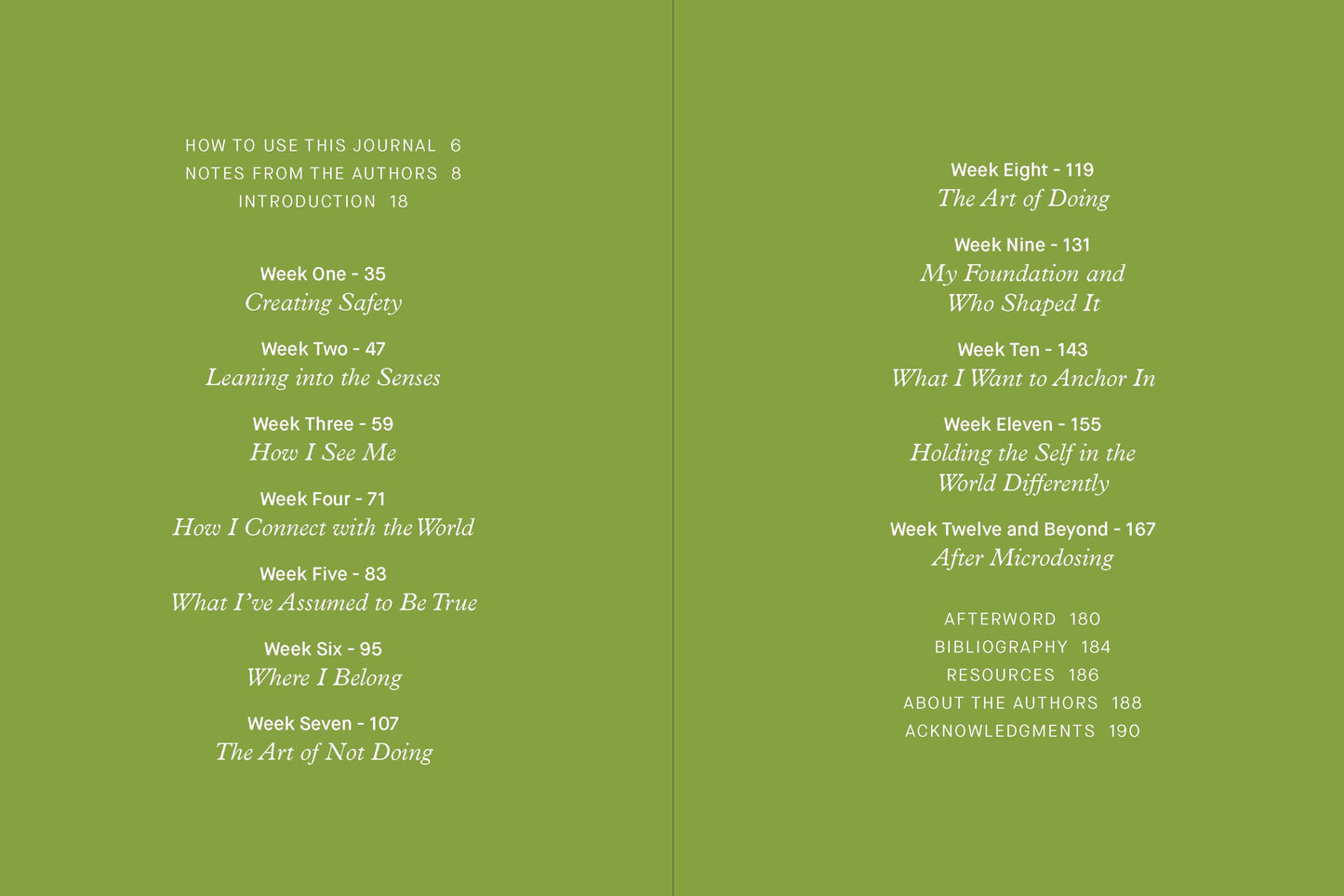 Small Doses of Awareness Guided Journal