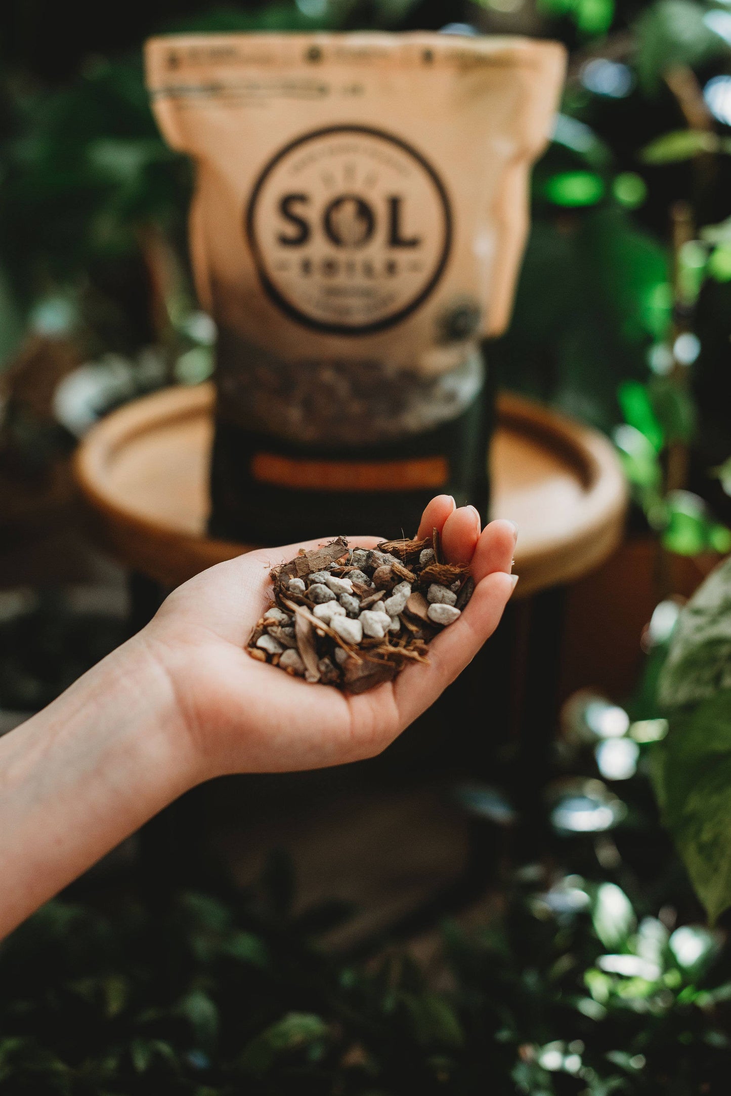 Gritty Cactus Potting Mix