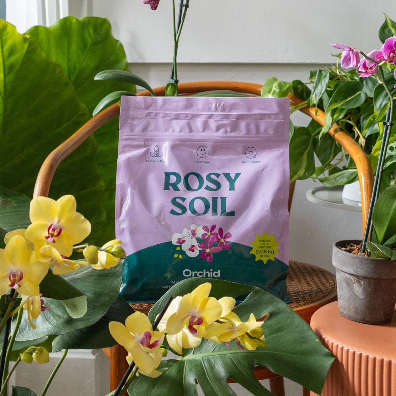 Organic Orchid Mix