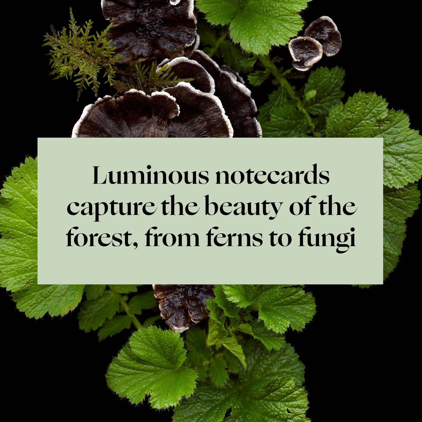 Deep Dark Forest Notecards