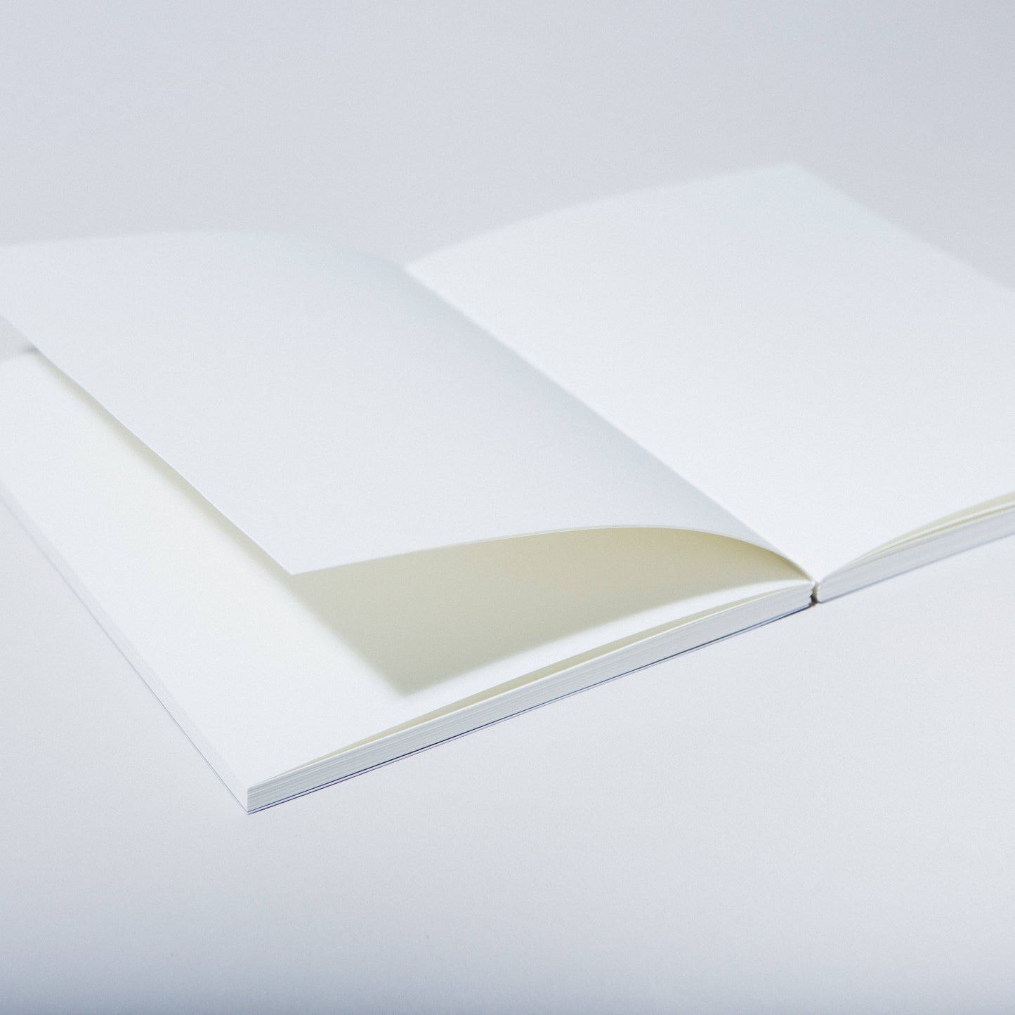 Case Study A5 Blank Journal