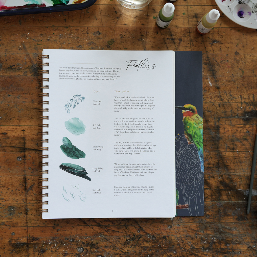 Bird Watercolor Workbook