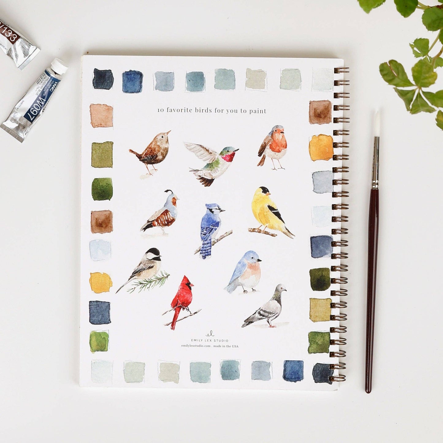 Emily Lex Studio - Watercolor Workbook: Birds