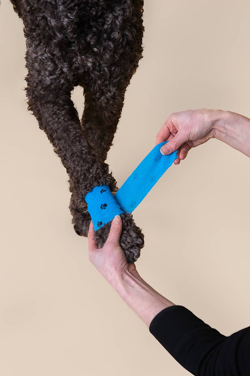 Pet Eco First-Aid Kit