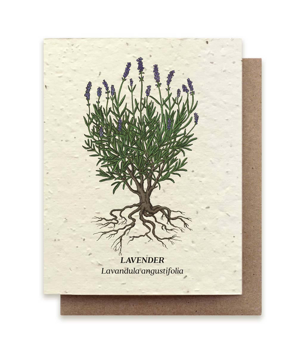 Seeded Plantable Greeting Cards