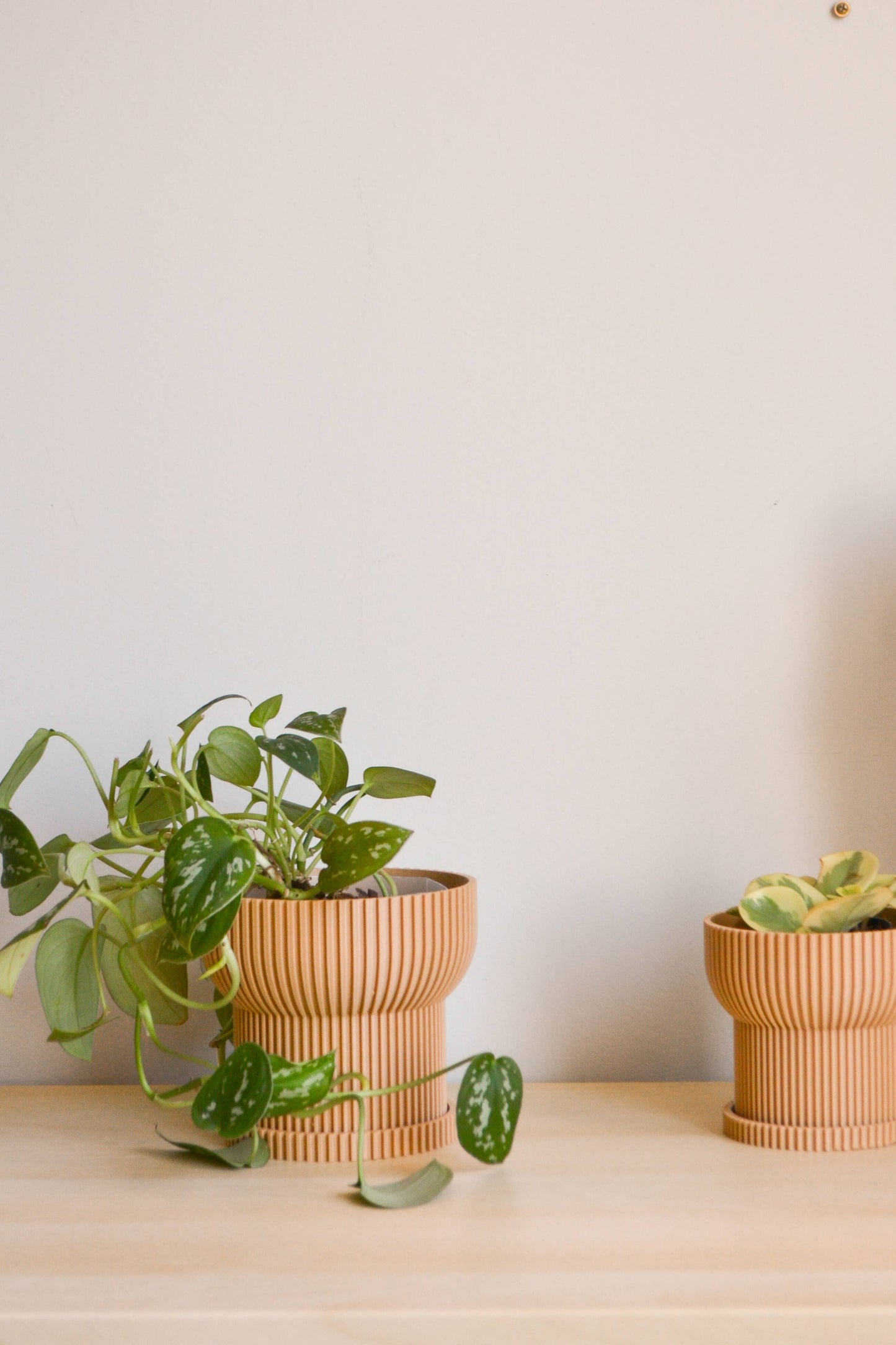 4" Ivory Japandi Planter + Tray