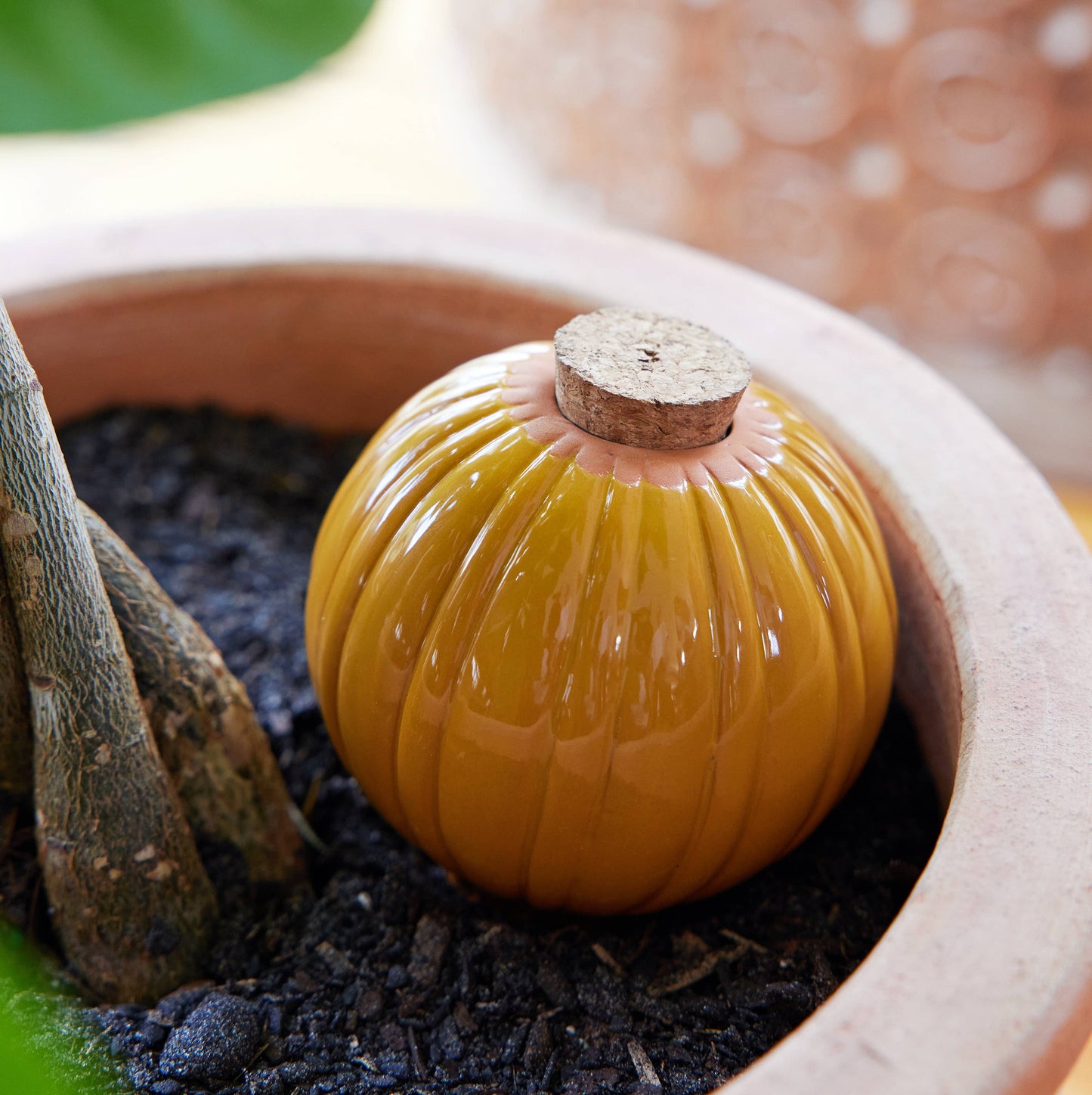 Self-Watering Terracotta Bulb