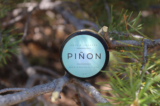 Piñon Sap for Cuts and Scrapes by Mod-Sani