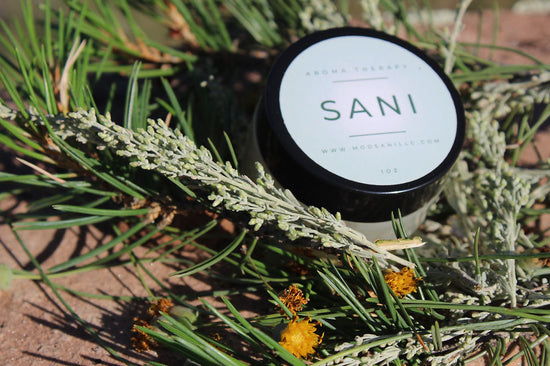 Sani Aroma Therapy by Mod-Sani