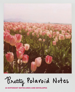 Polaroid Notecards
