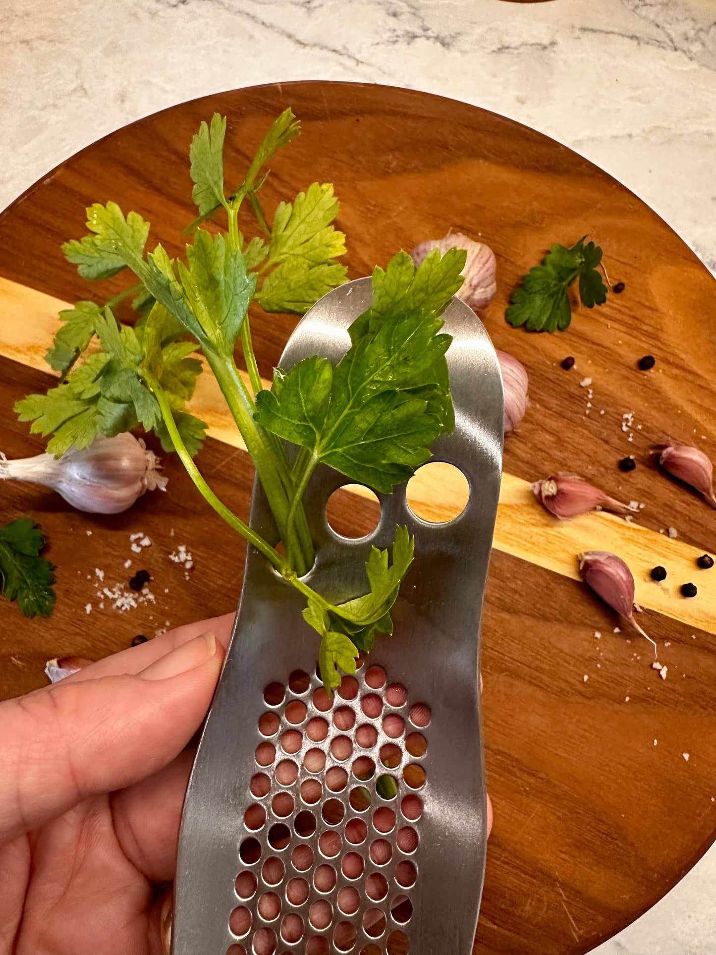 Stainless Steel Garlic Press & Herb Stripper