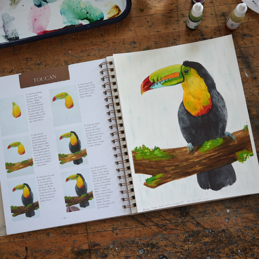 Bird Watercolor Workbook