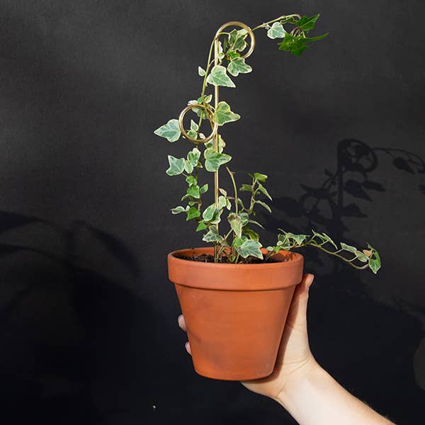 Black Mini Plant Stake