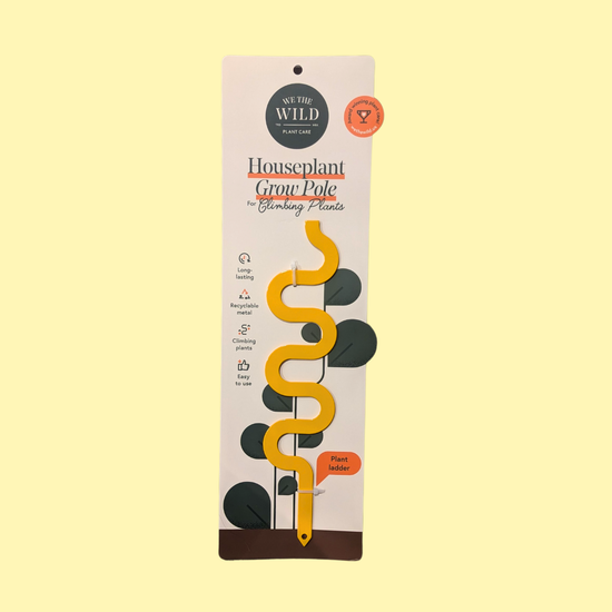 Houseplant Grow Pole Squiggle