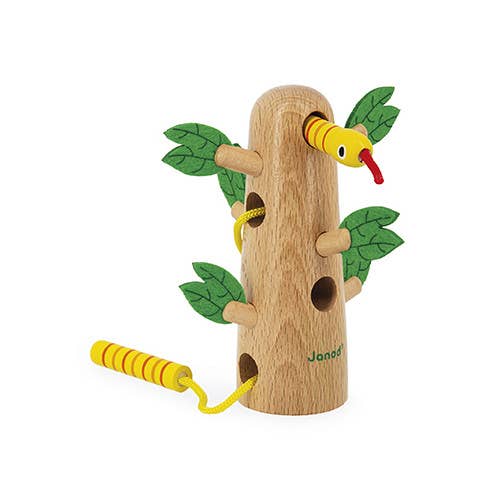 Lace up Tree | Tropics