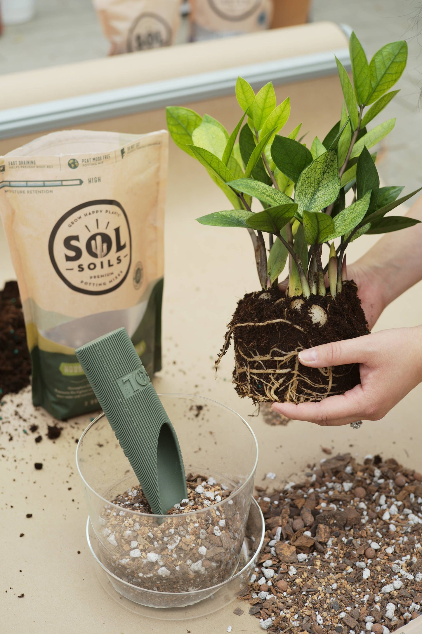 house plant potting Chunky Houseplant Potting Mix – PROCESS
