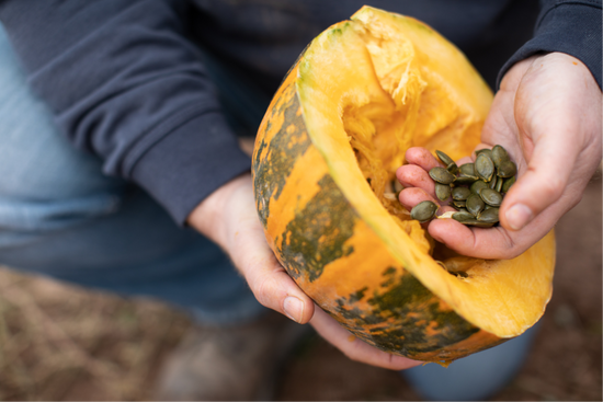 Organic Raw Pumpkin Seeds
