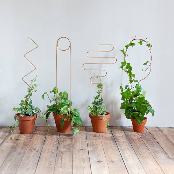 Gold Metal Plant Stake