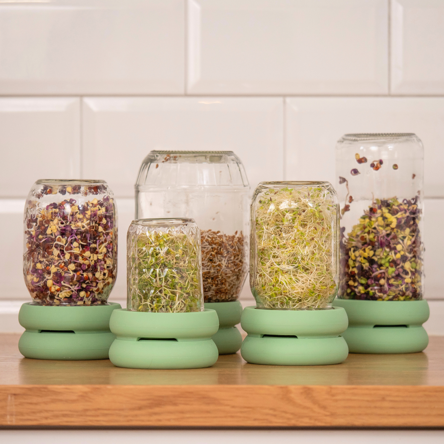 Reusable Silicone Sprouting Lids