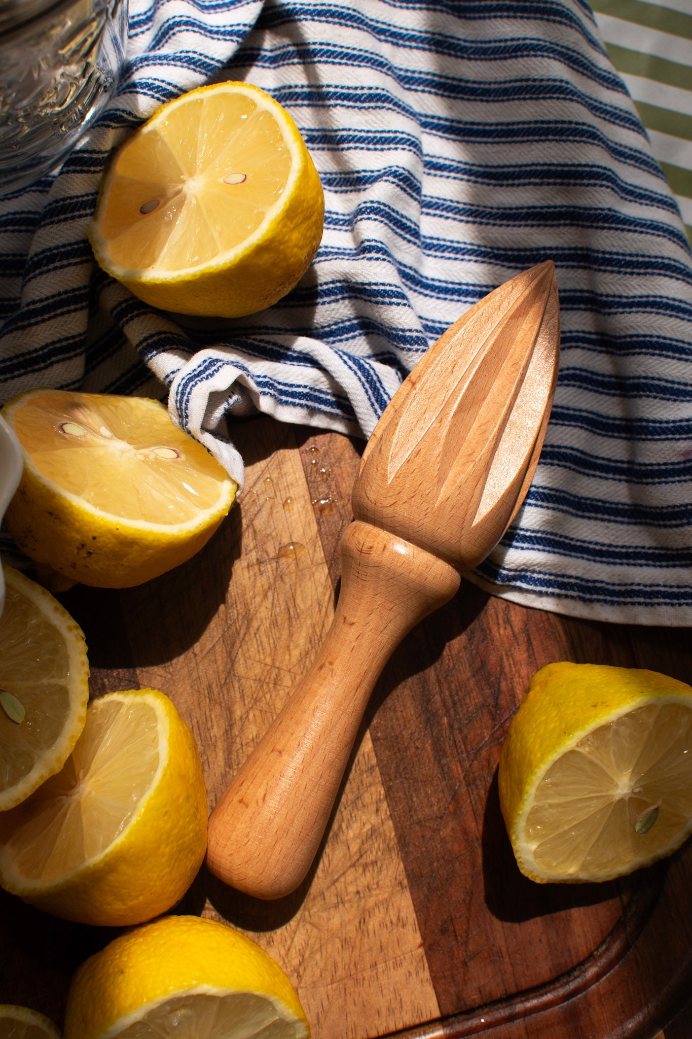 Citrus Juicer