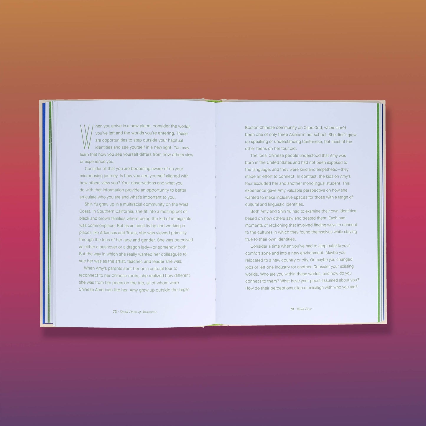 Small Doses of Awareness Guided Journal