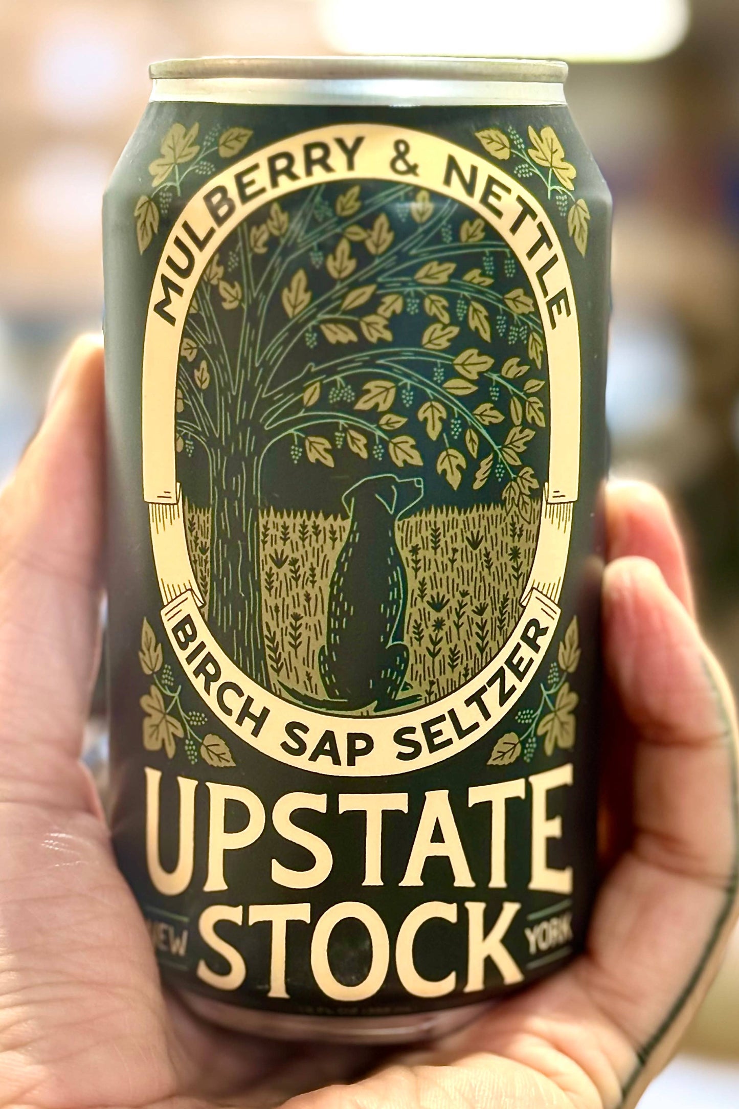 Mulberry and Nettle Birch Sap Seltzer