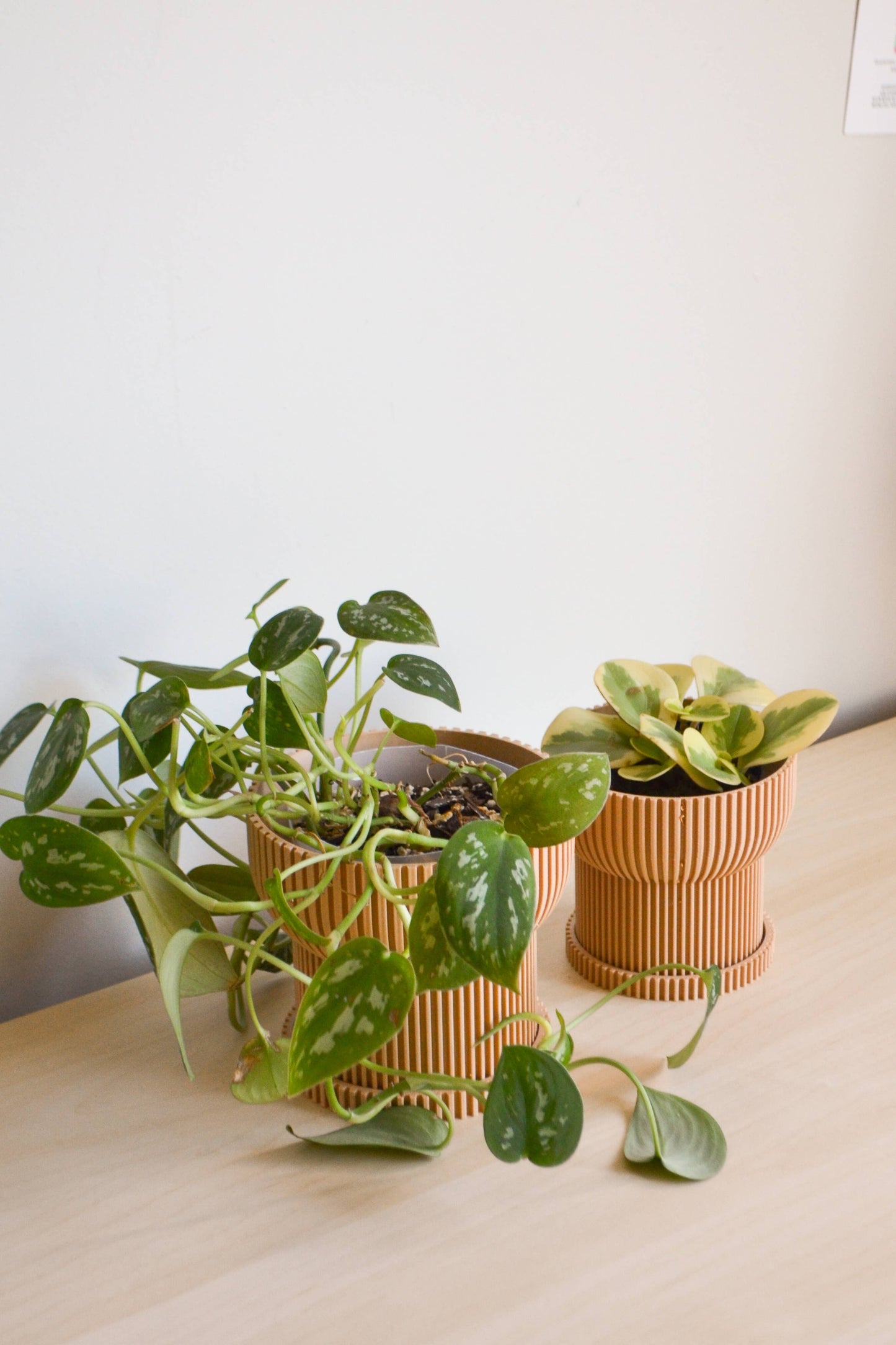 4" Ivory Japandi Planter + Tray