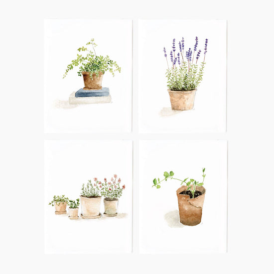 Emily Lex Studio - Note Card Stationary Set: Potted Plants