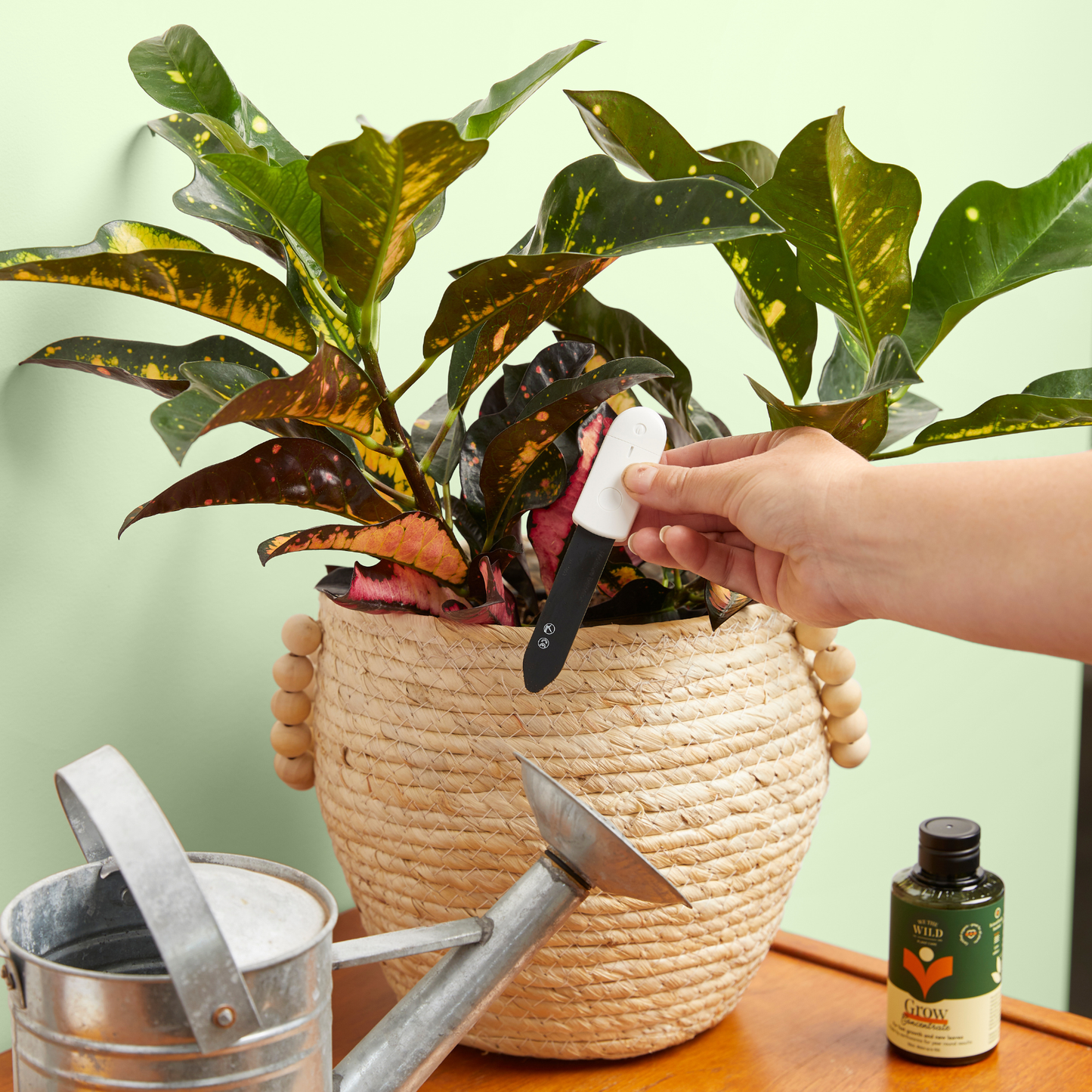Houseplant Soil Moisture Meter