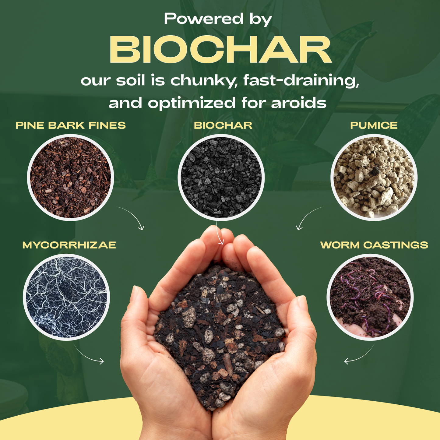 Organic Aroid Potting Mix