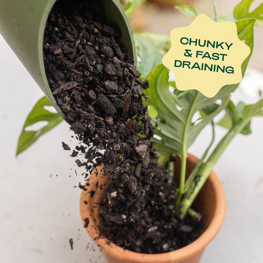 Organic Aroid Potting Mix
