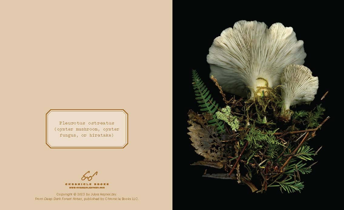Deep Dark Forest Notecards