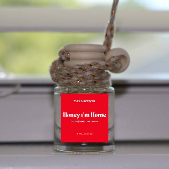 Car Diffusers | Winter Collection