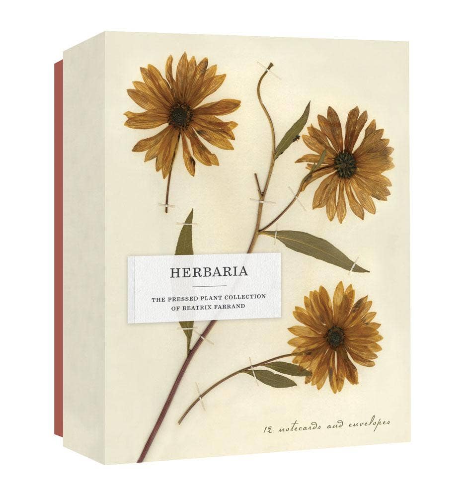 Pressed Plant Blank Card Set