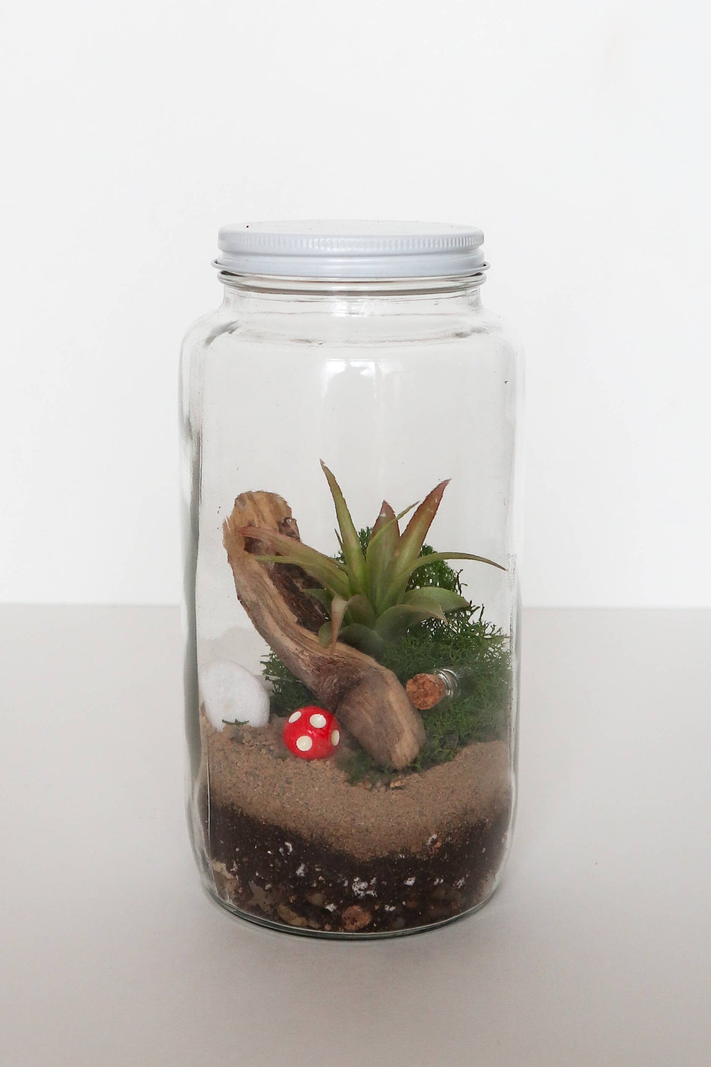 Glass Terrarium Kit
