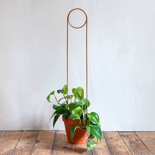Gold Metal Plant Stake