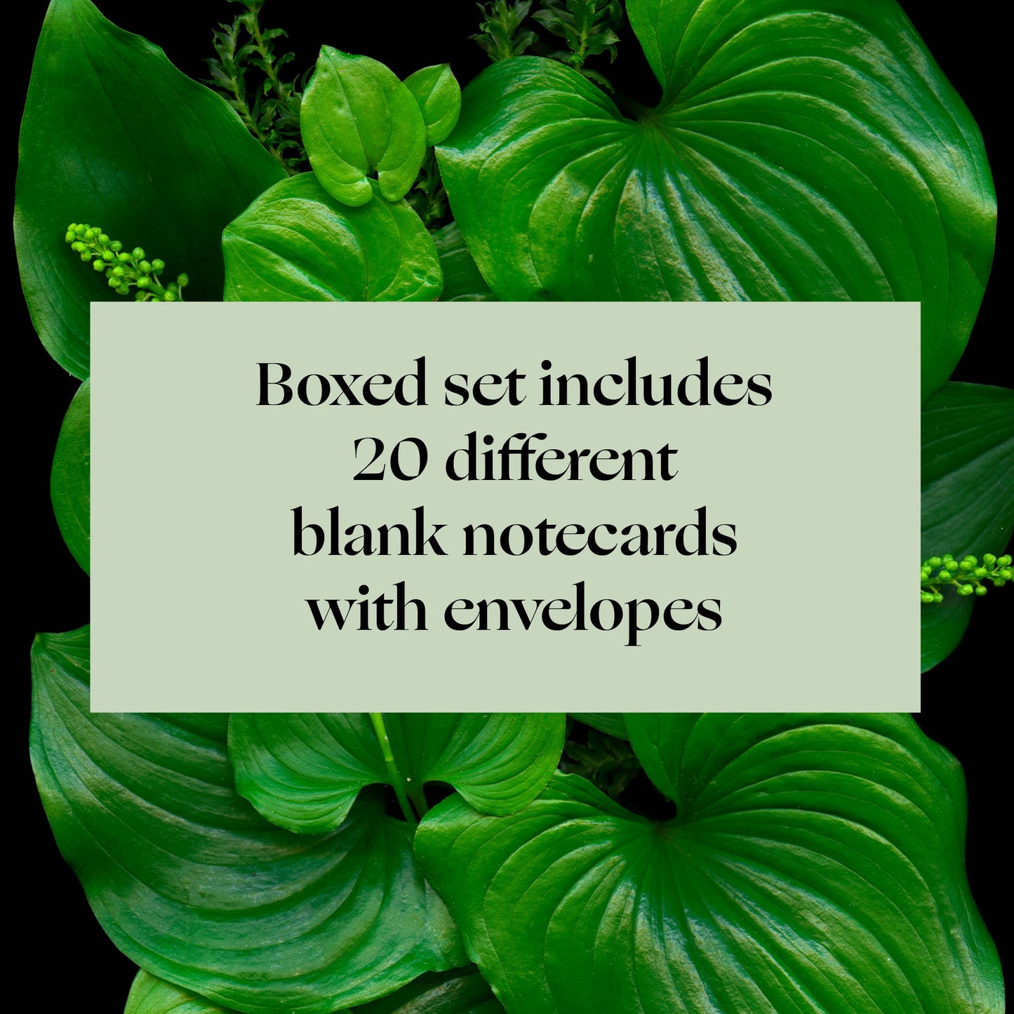 Deep Dark Forest Notecards