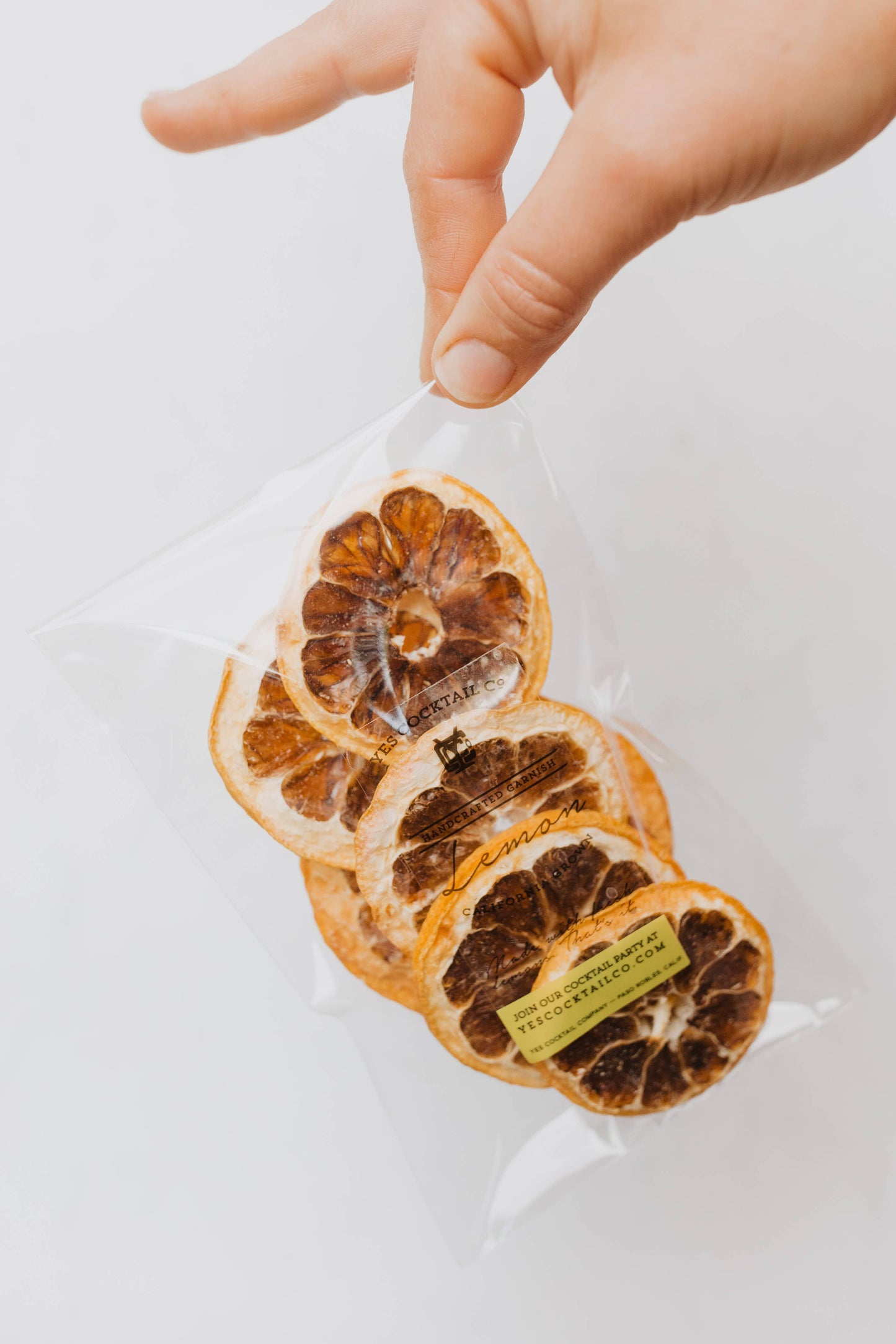 Citrus Cocktail Garnishes (Dehydrated) | Orange