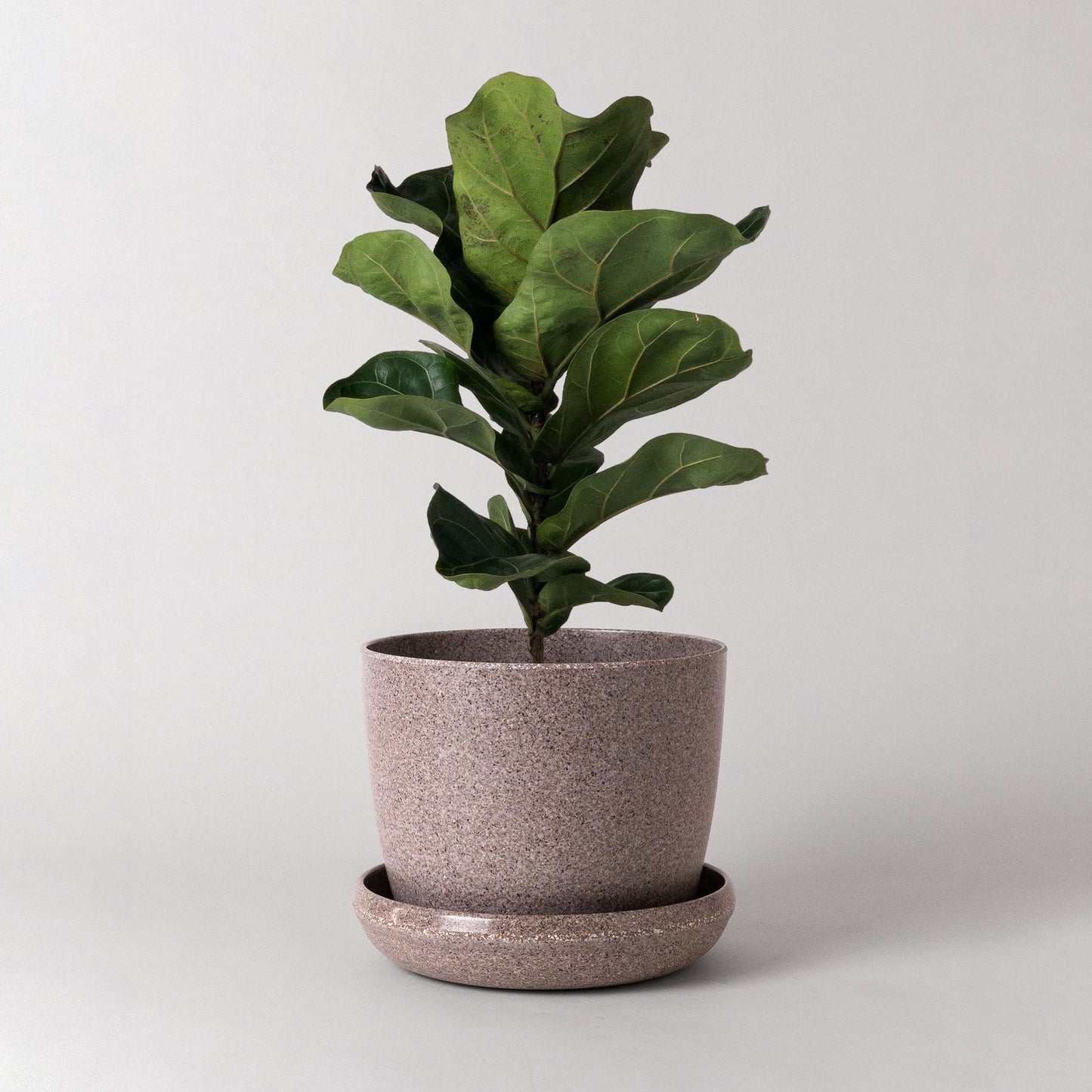 7" Recycled Nut Husk Planter + Saucer