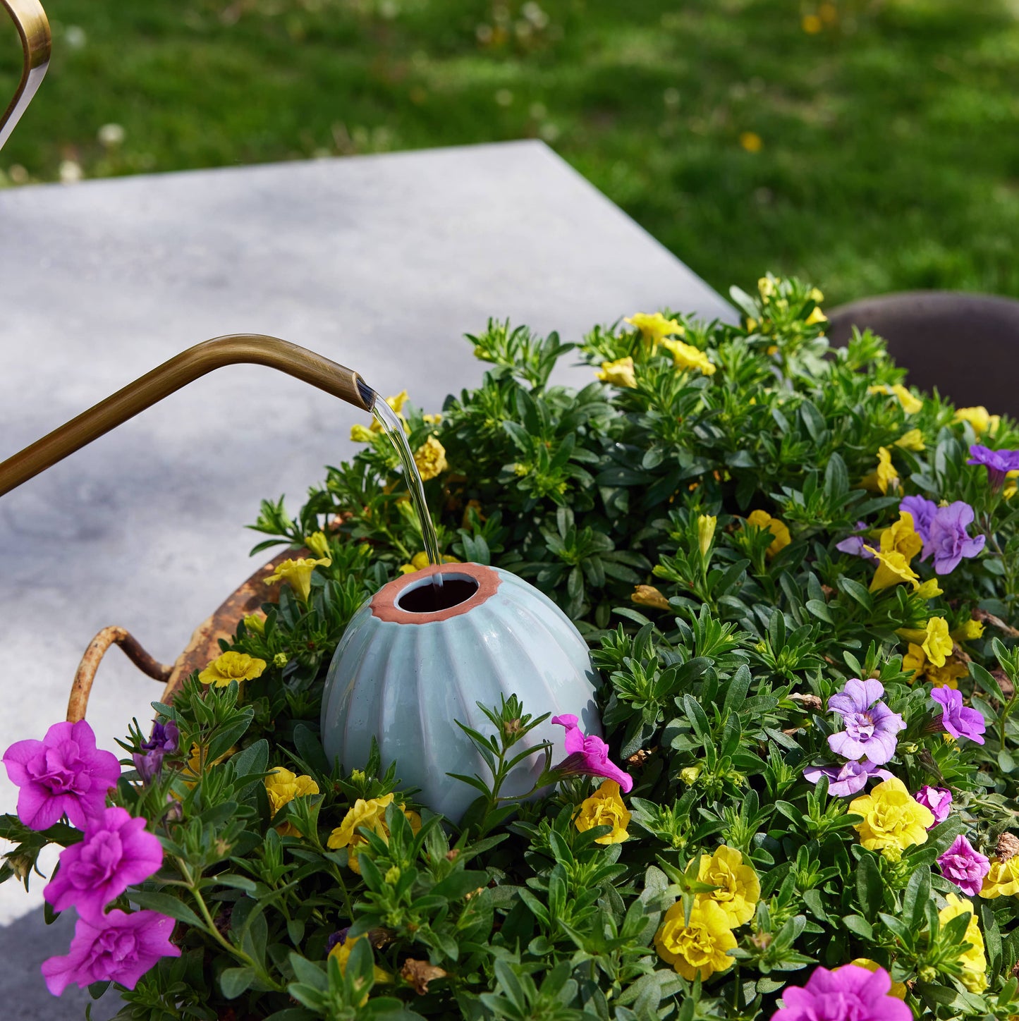 Self-Watering Terracotta Bulb