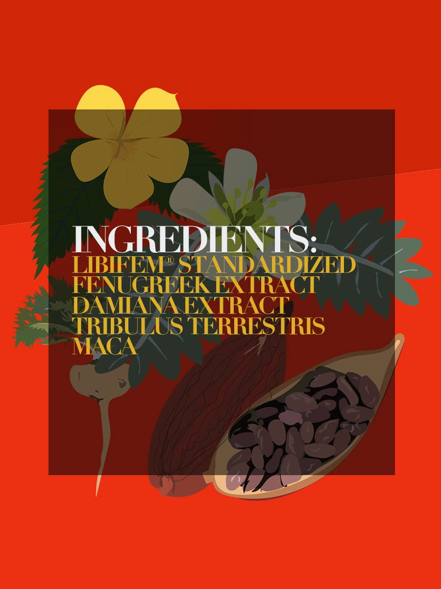 Functional Chocolate | Brainy Chocolate: Zesty Orange