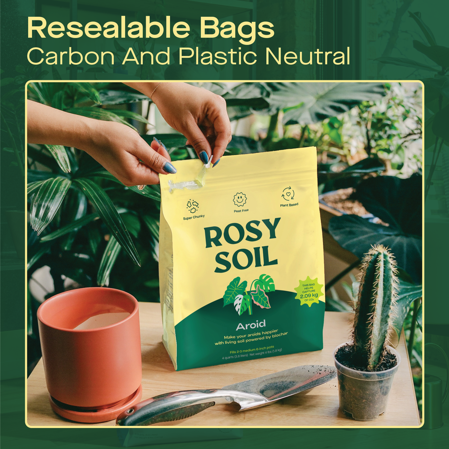 Organic Aroid Potting Mix